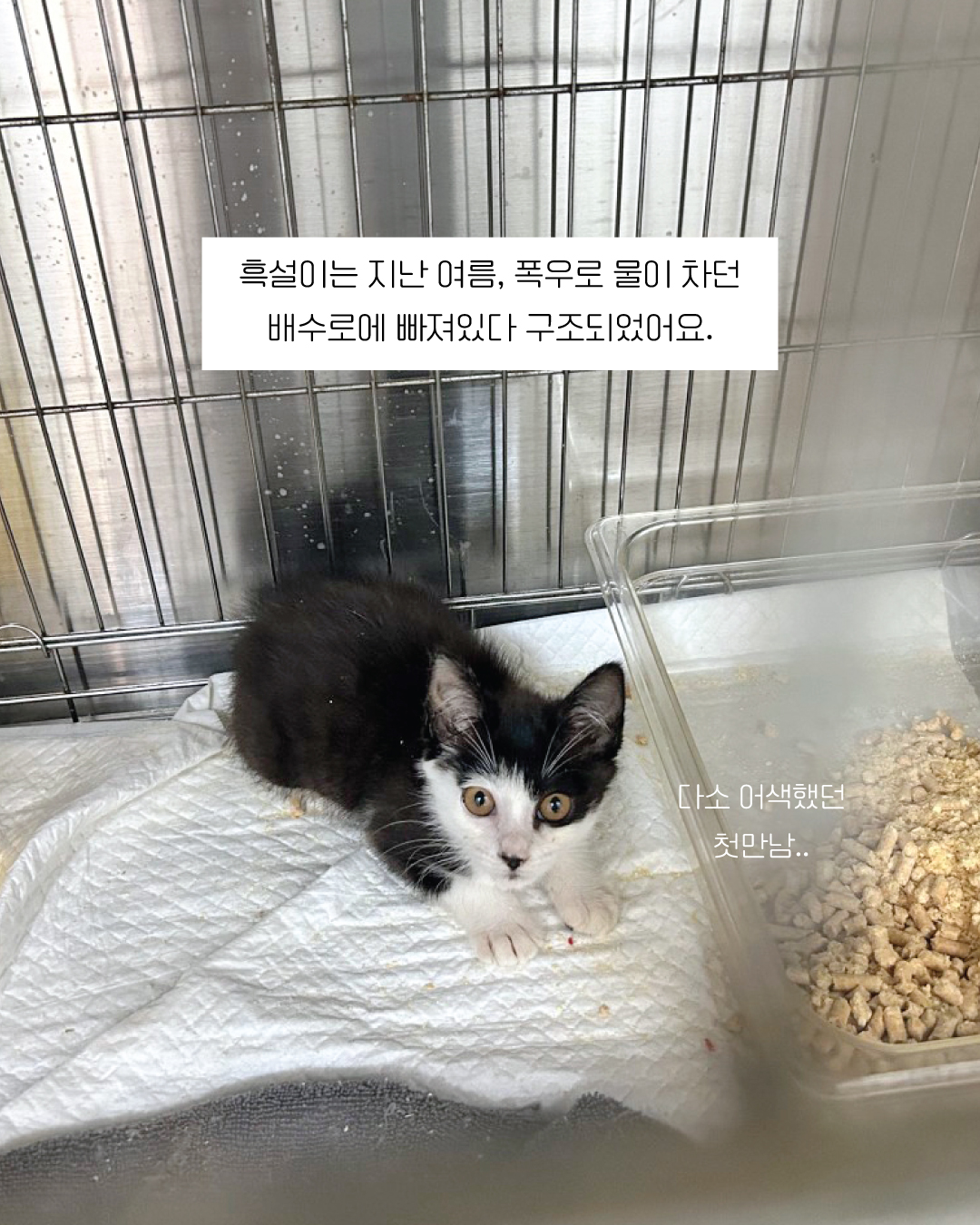 흑설3.jpg