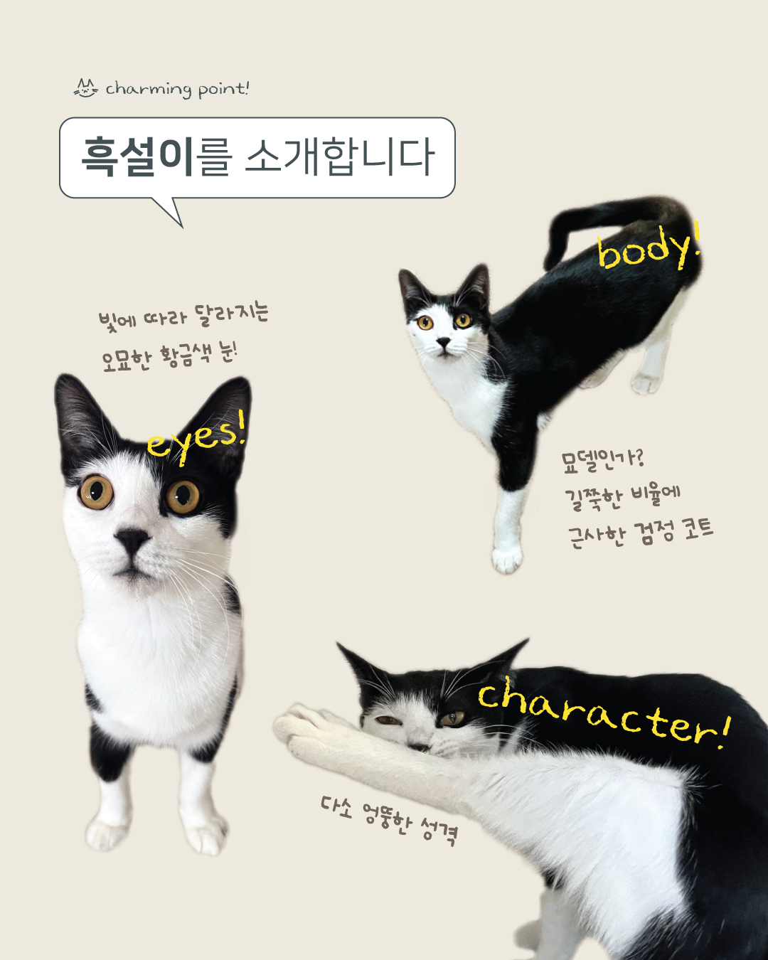 흑설2.jpg