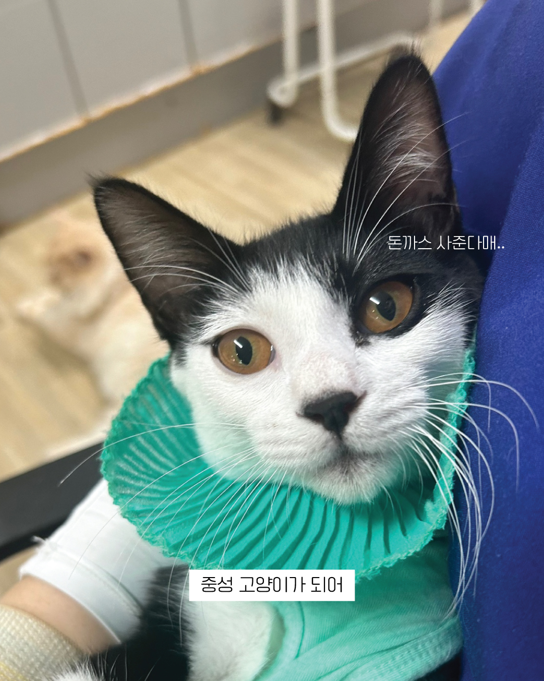 흑설5.jpg
