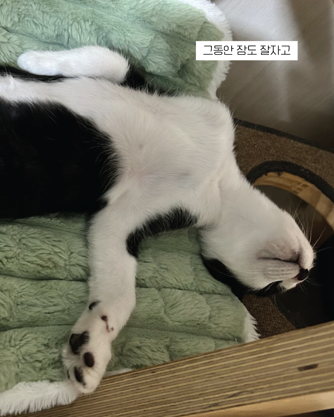 흑설4.jpg