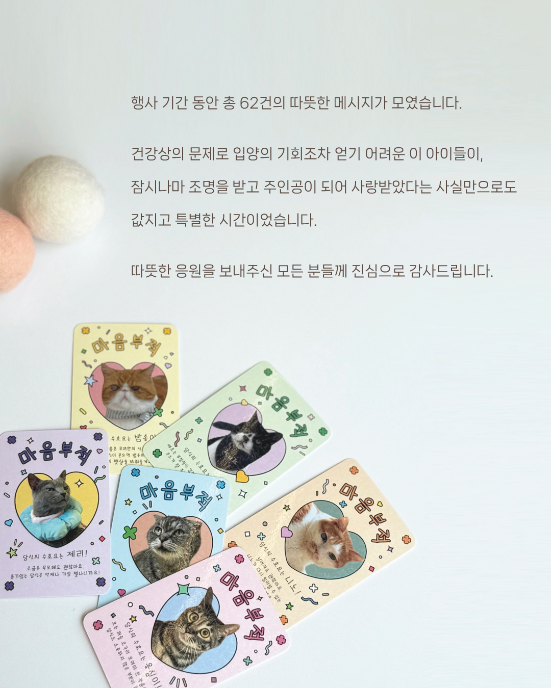 맘입양3.jpg