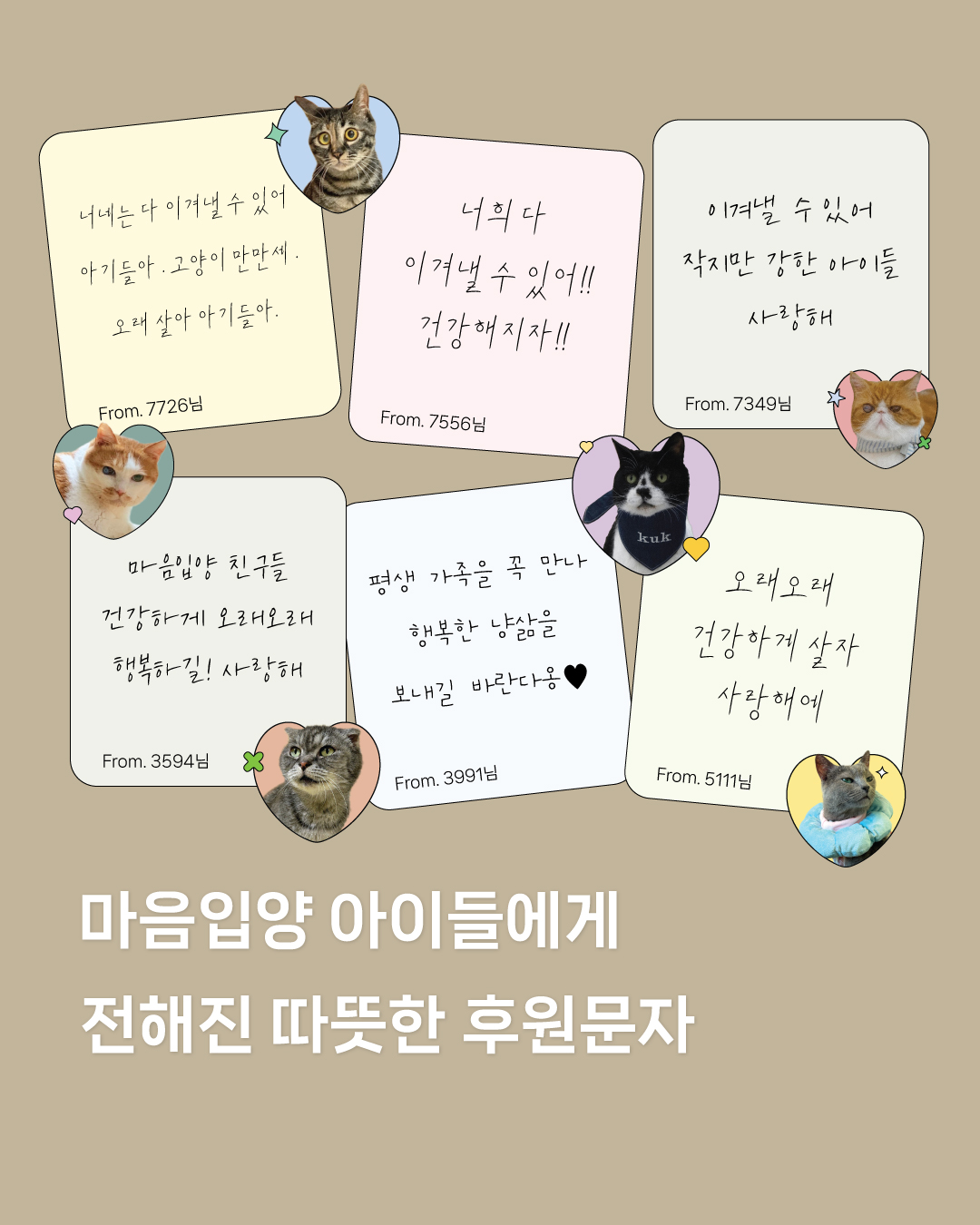 맘입양1.jpg