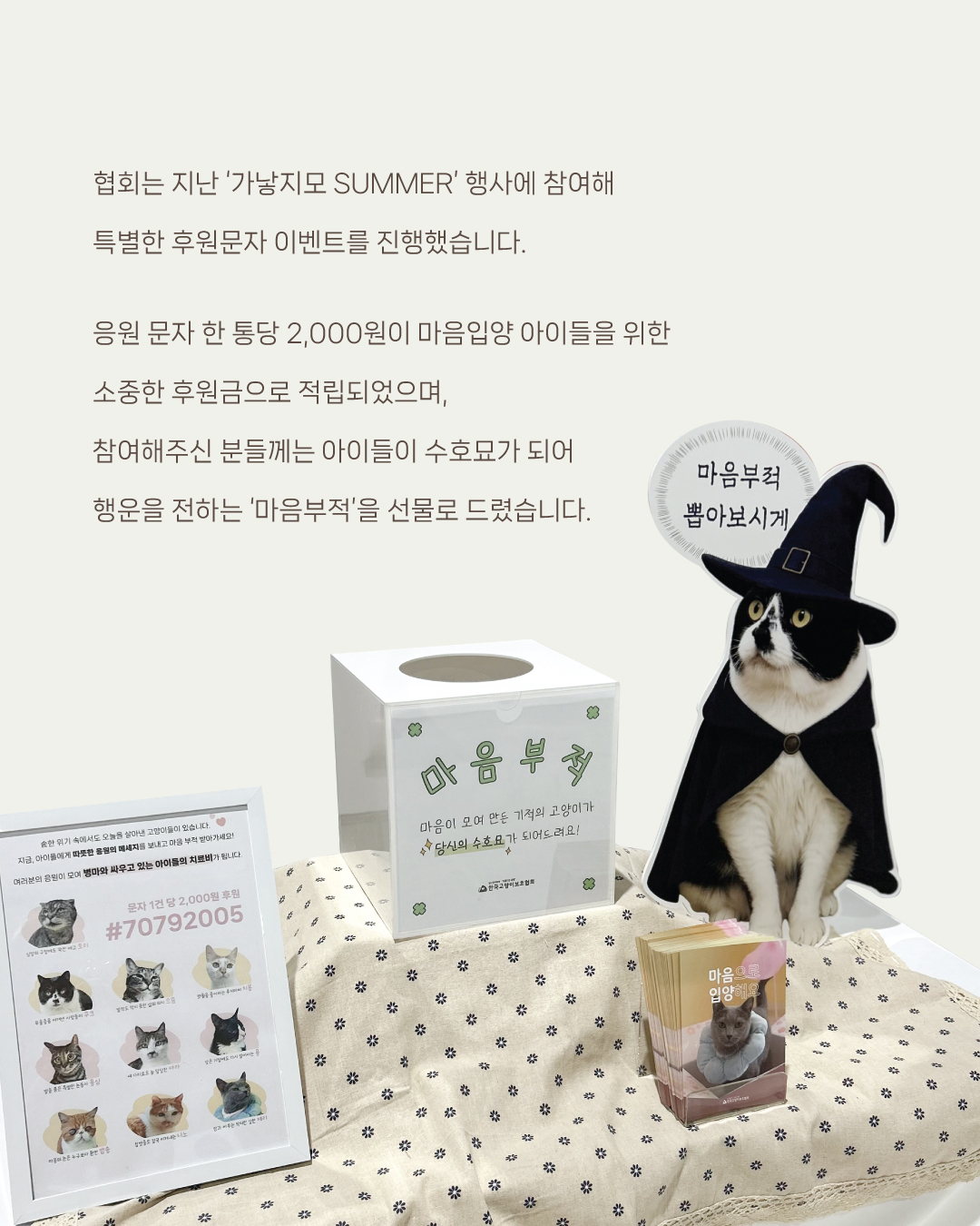 맘입양2.jpg