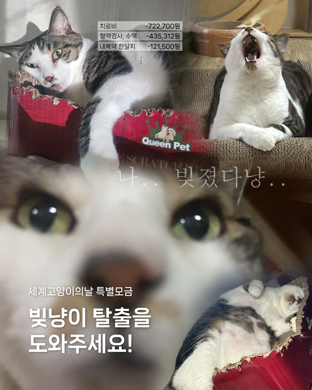 쉼터특별모금1.jpg