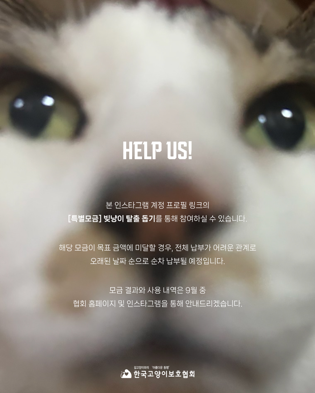 쉼터특별모금6.jpg