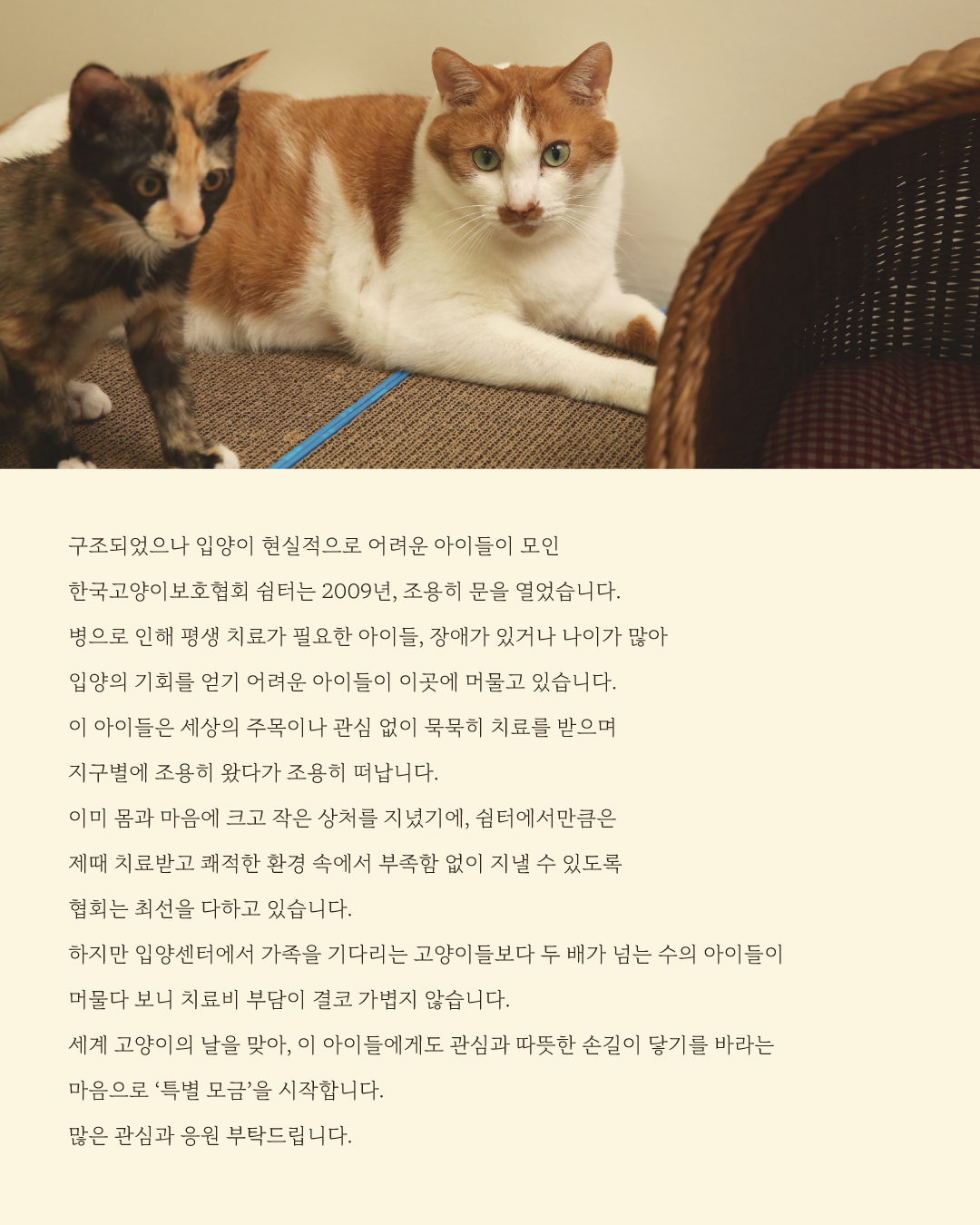 쉼터특별모금2.jpg