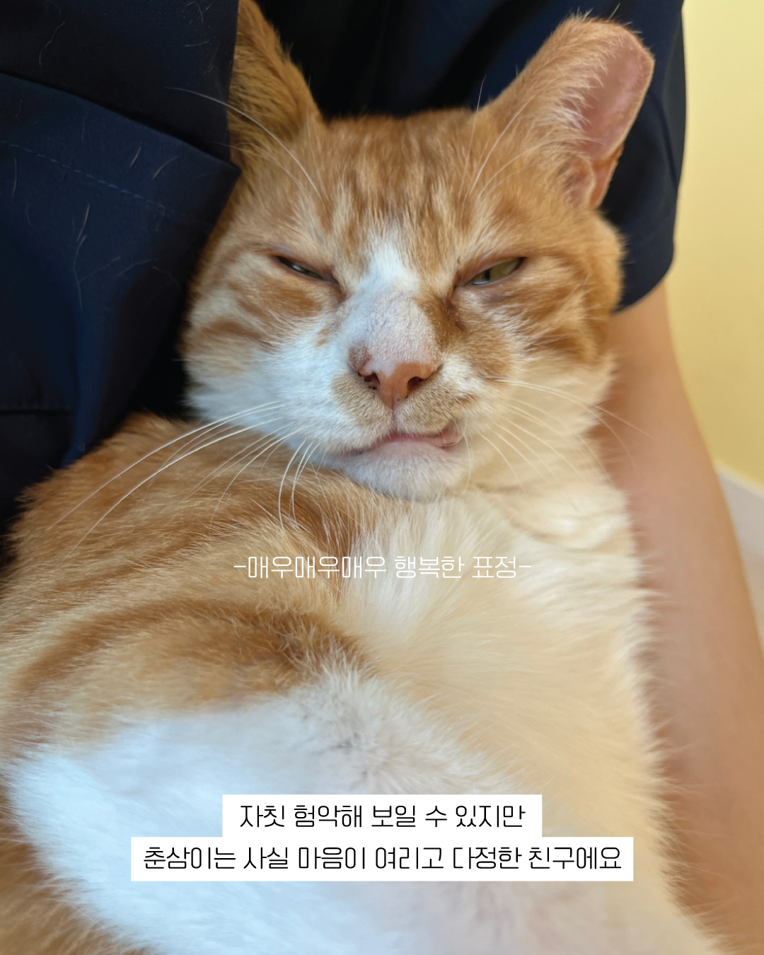 춘삼6.jpg