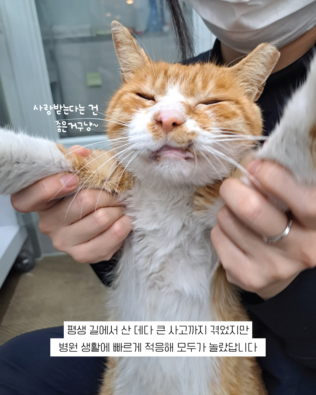 춘삼4.jpg
