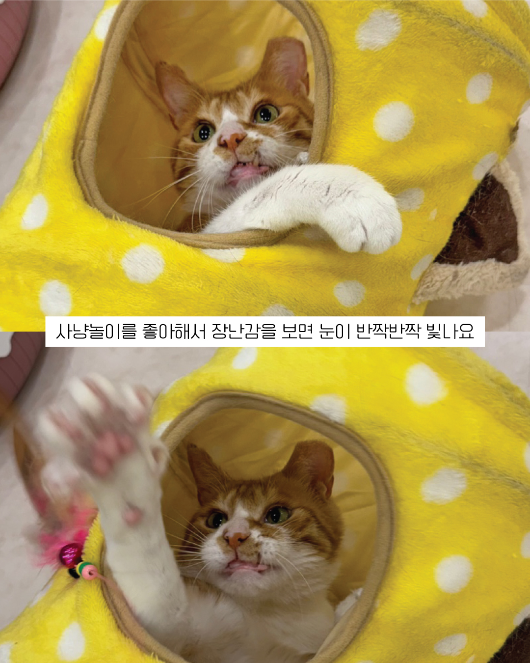 춘삼12.jpg