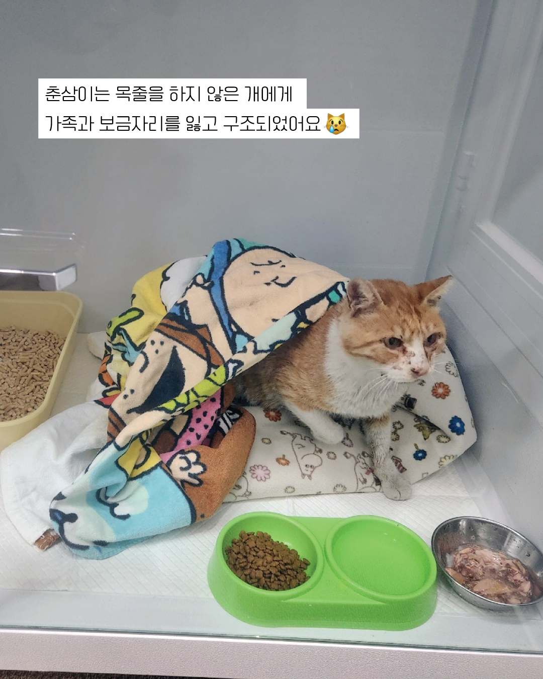 춘삼3.jpg
