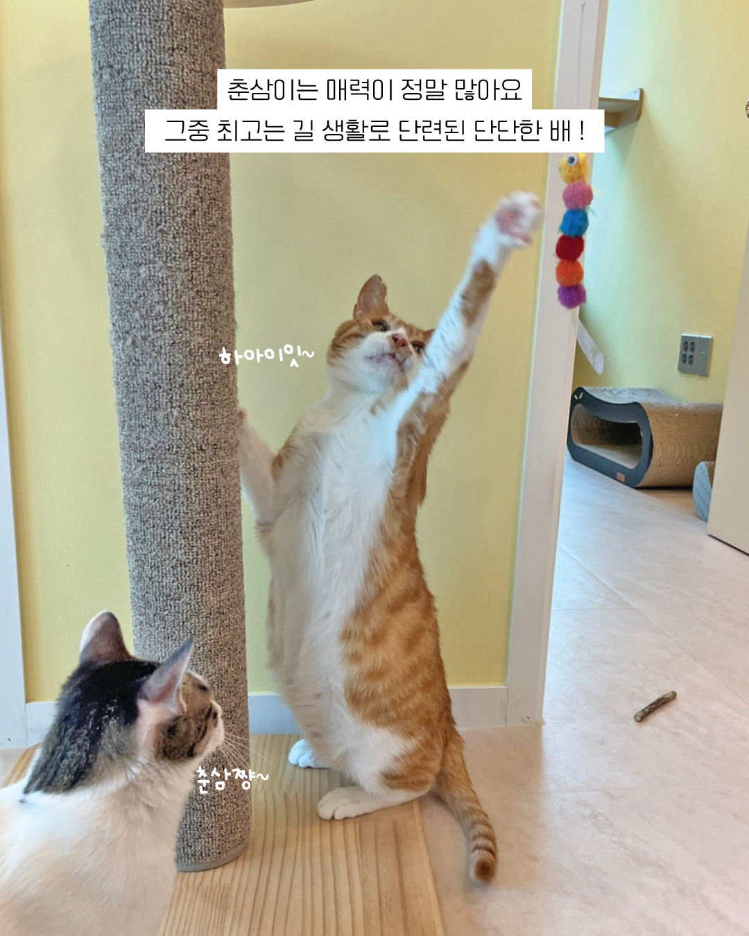 춘삼9.jpg