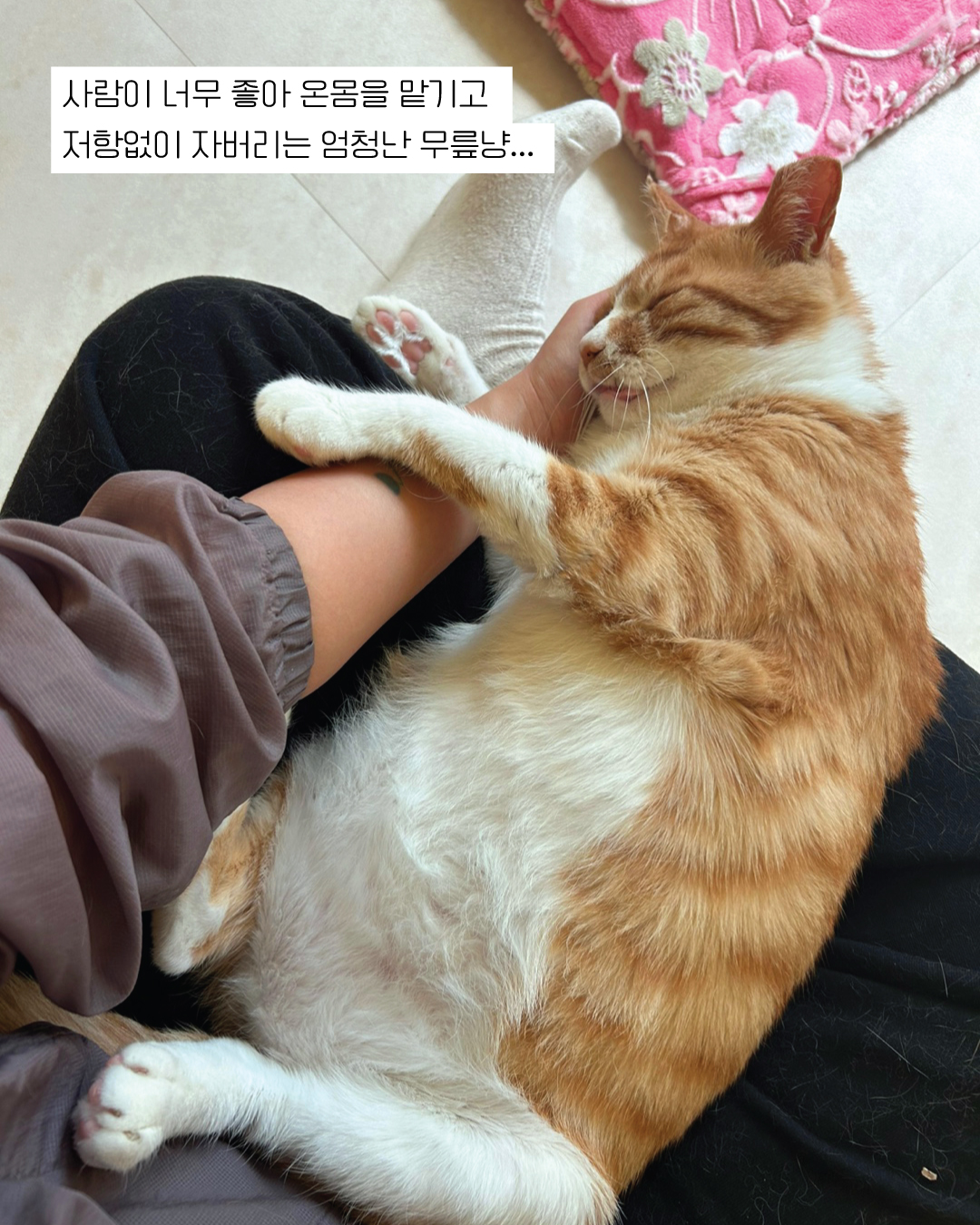 춘삼7.jpg