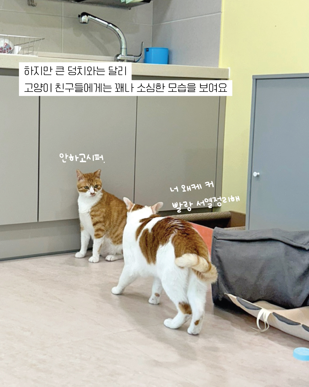 춘삼11.jpg