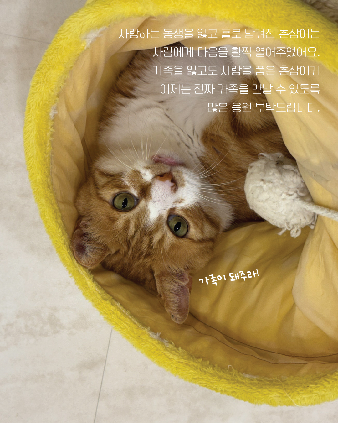 춘삼13.jpg