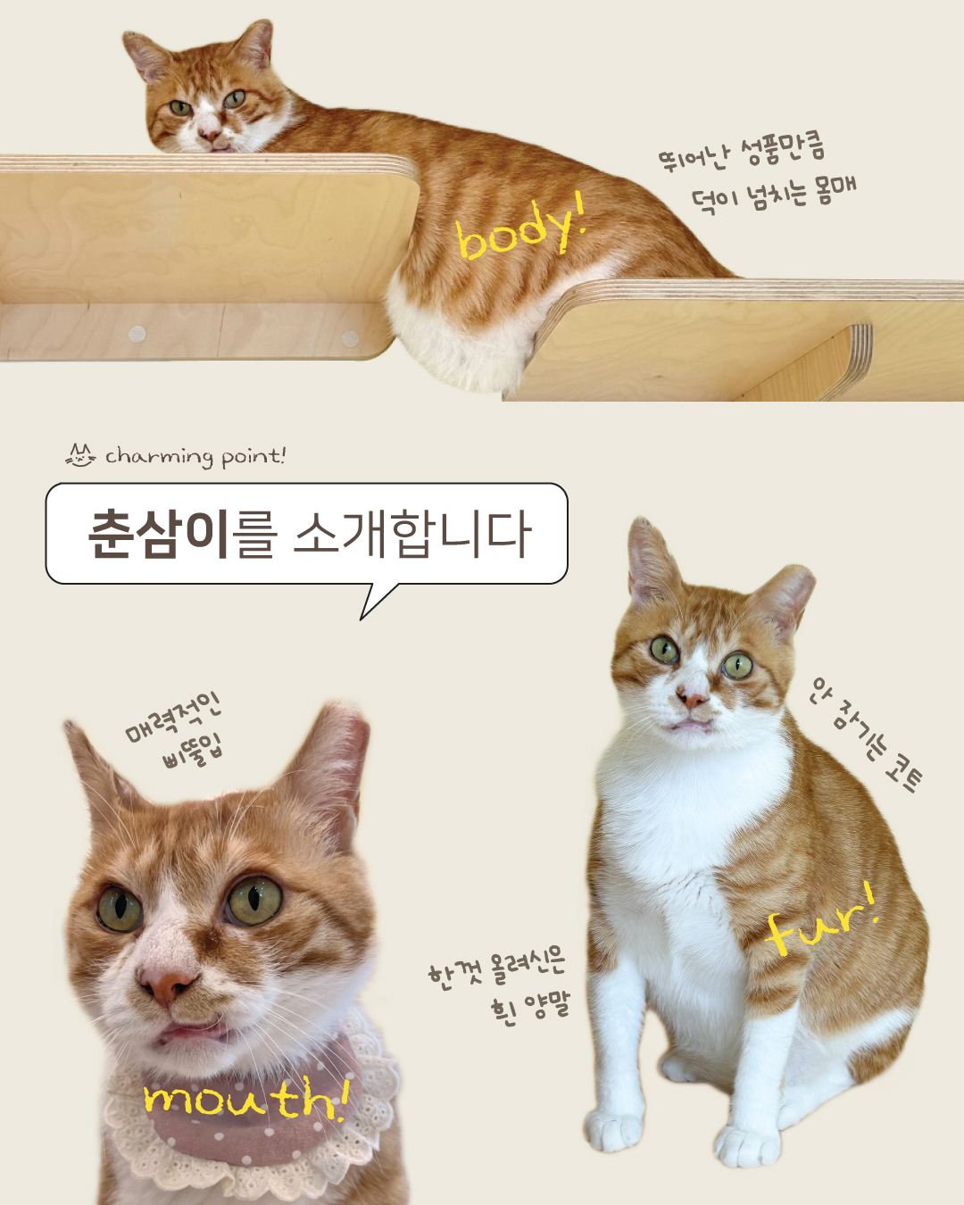 춘삼2.jpg