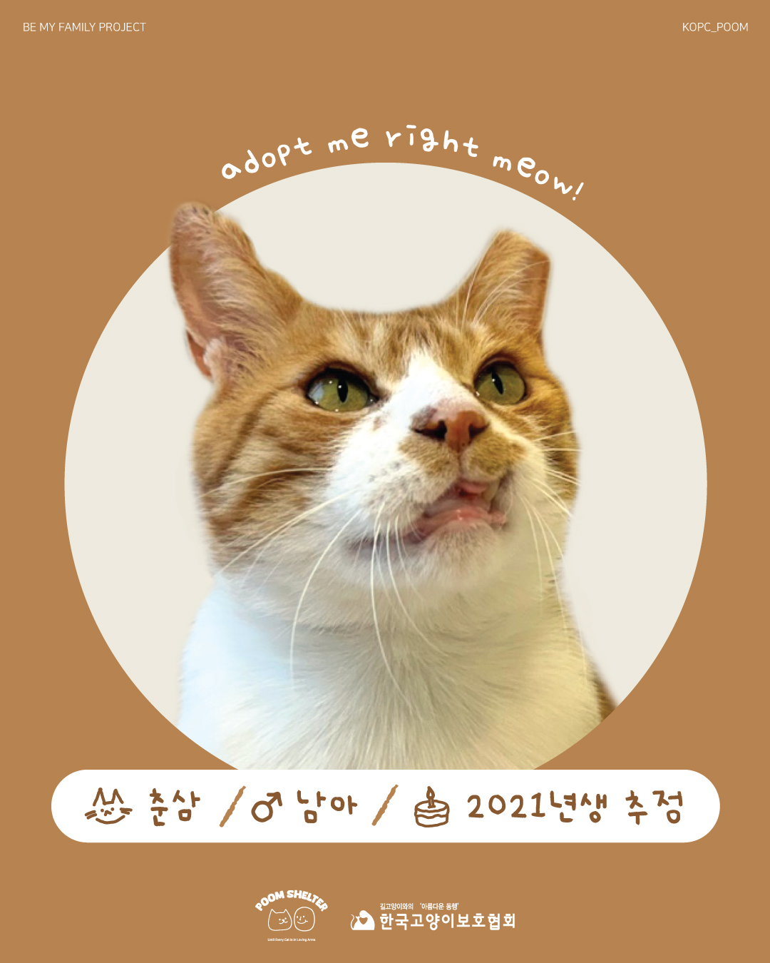 춘삼1.jpg