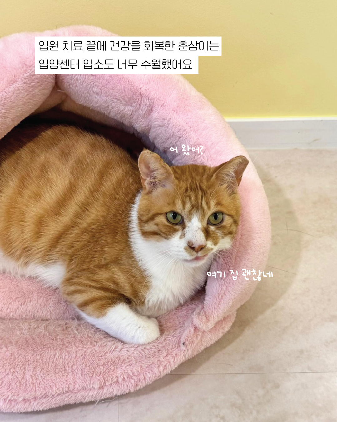 춘삼5.jpg