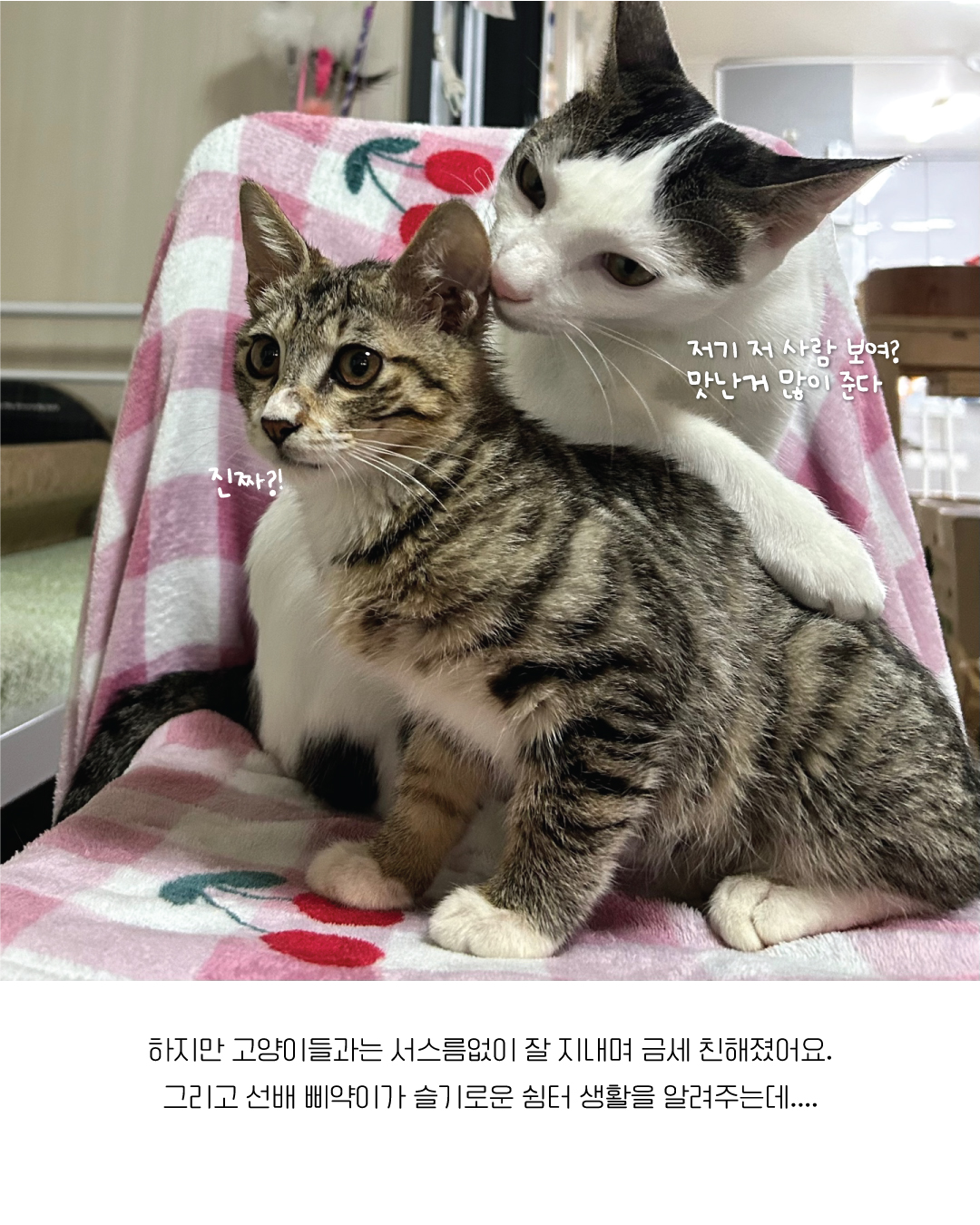 밤빵6.jpg