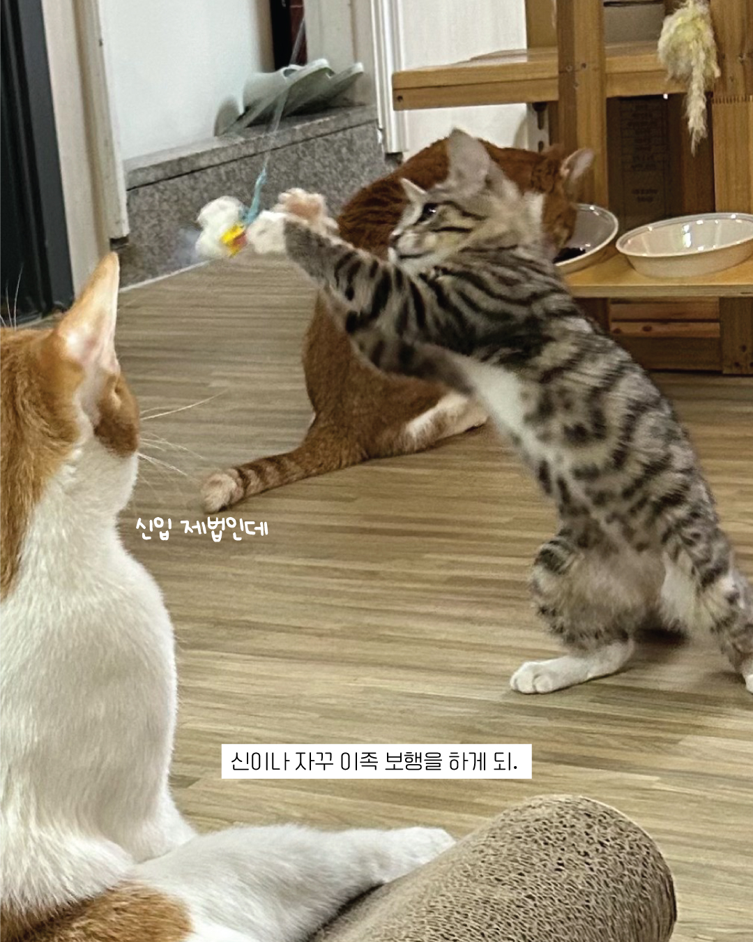 밤빵10.jpg