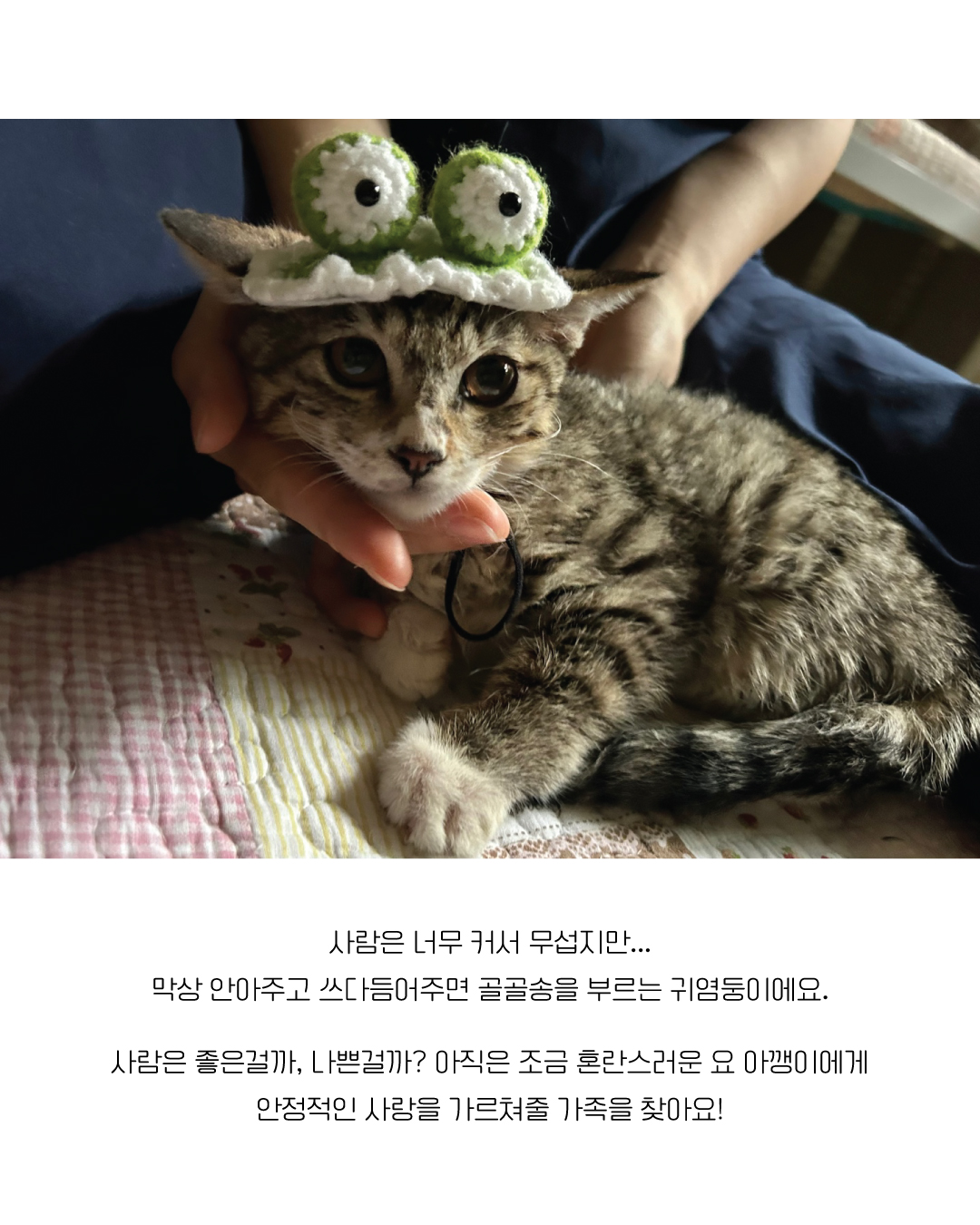 밤빵11.jpg