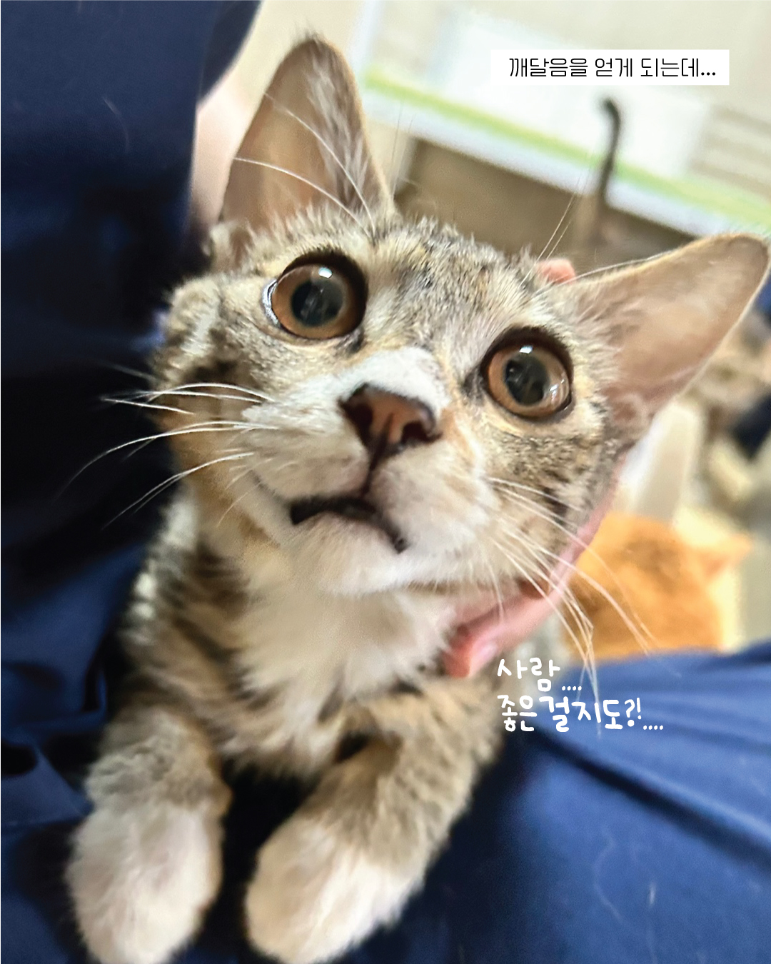 밤빵8.jpg