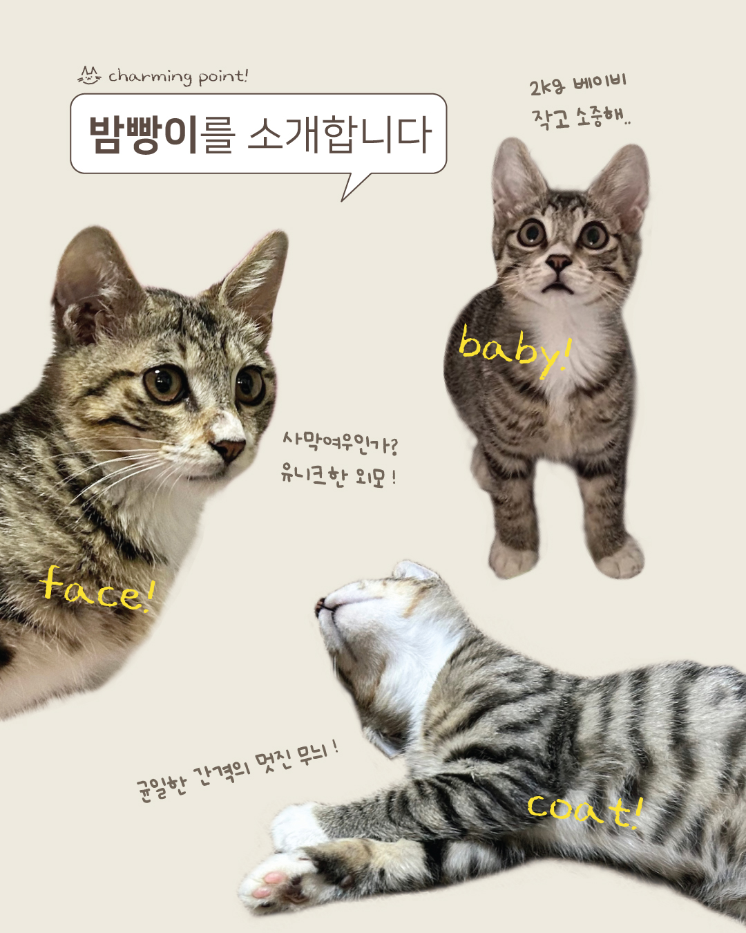 밤빵2.jpg