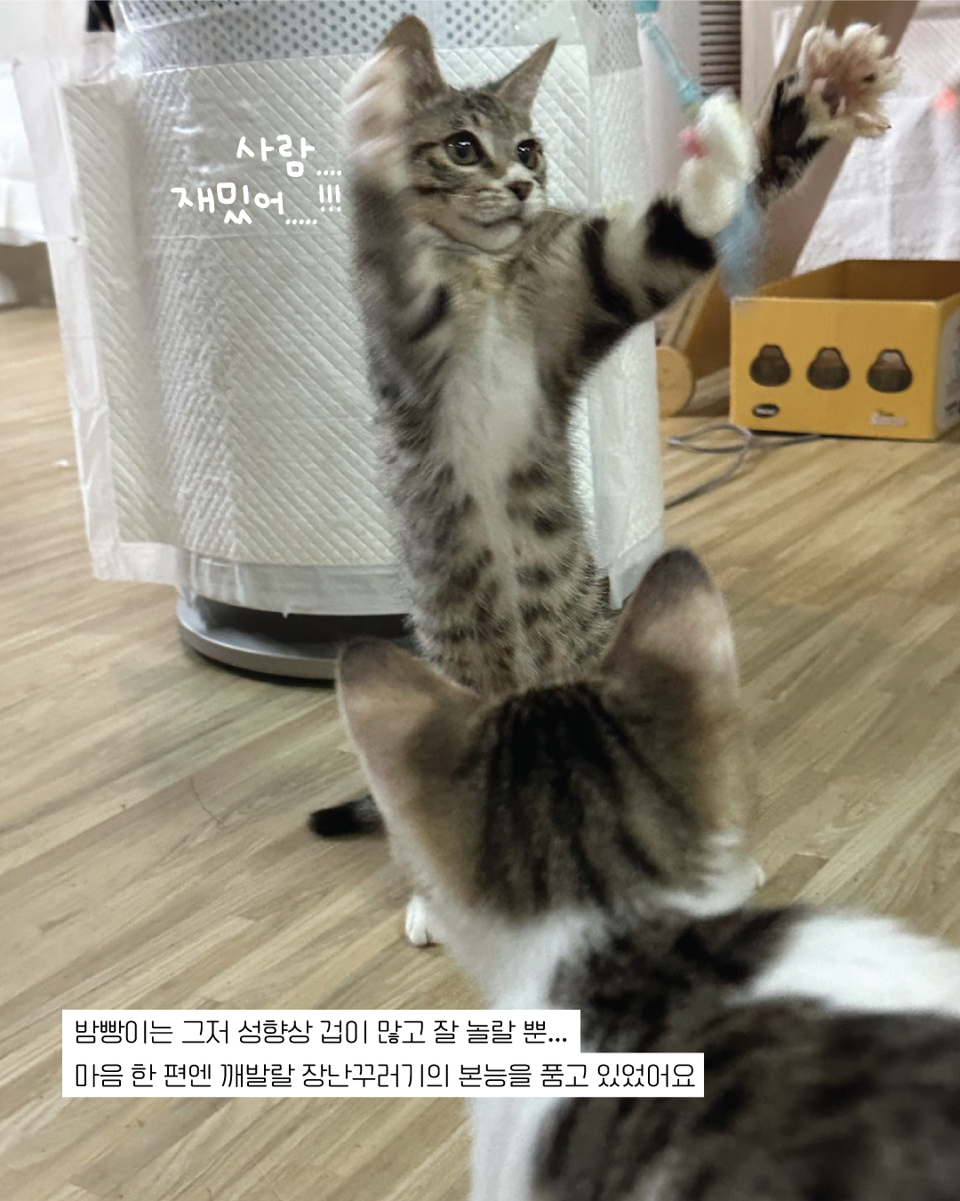 밤빵9.jpg