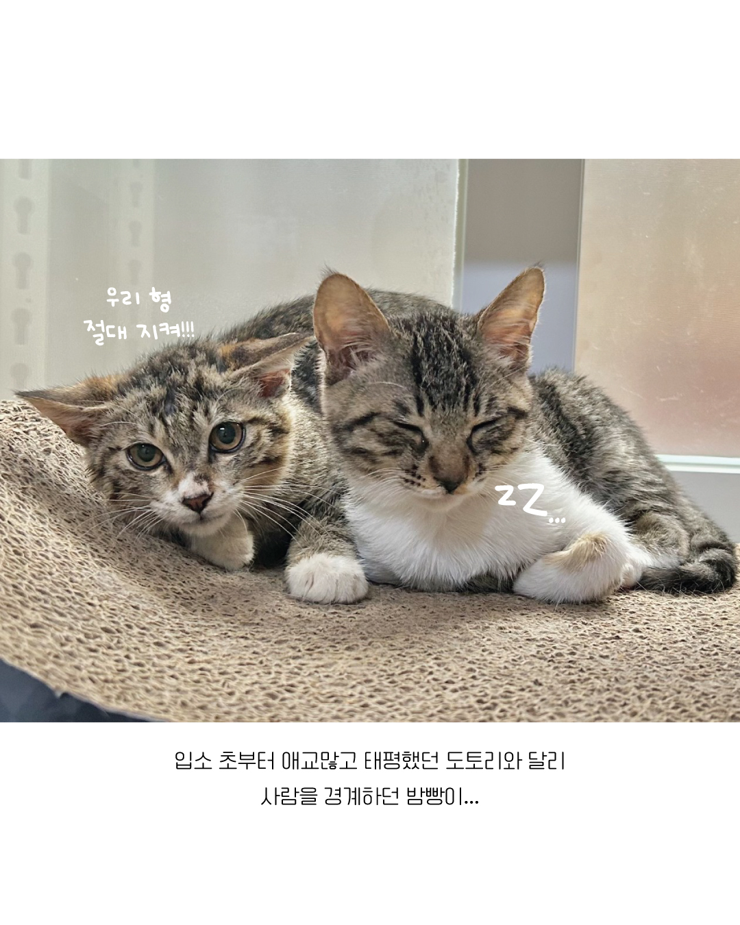 밤빵5.jpg