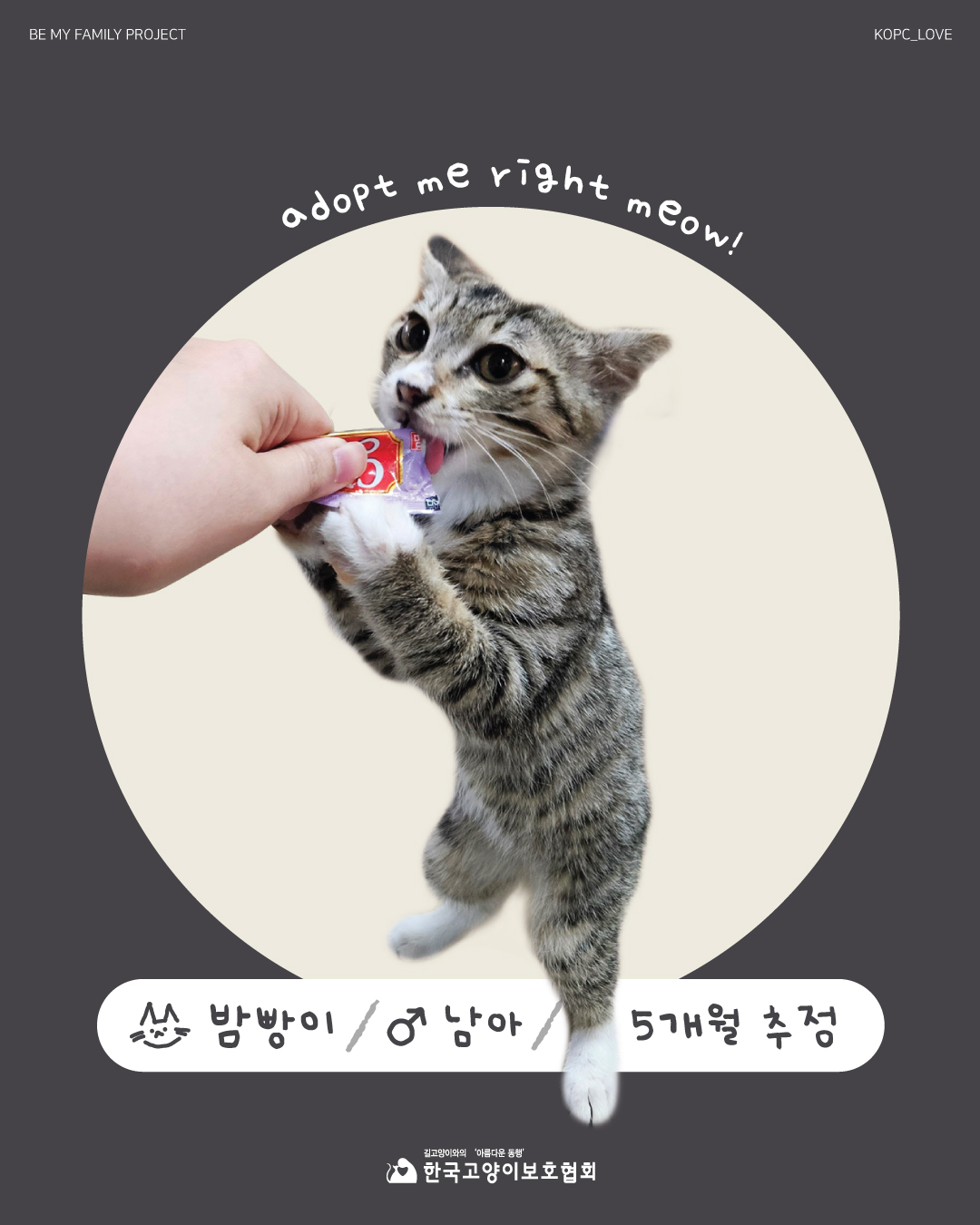 밤빵1.jpg