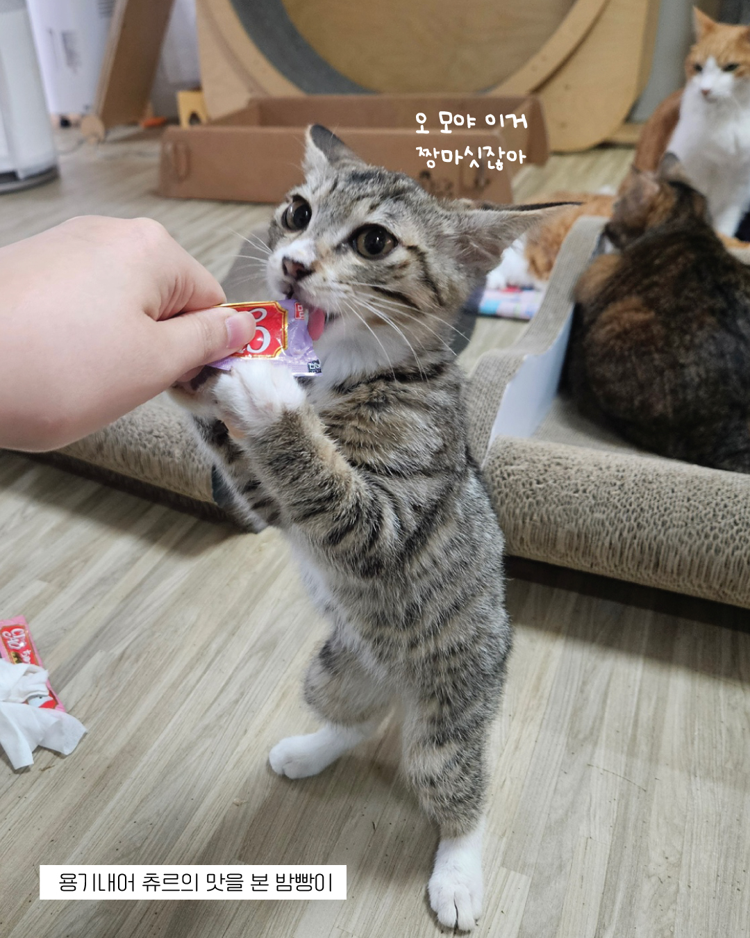 밤빵7.jpg