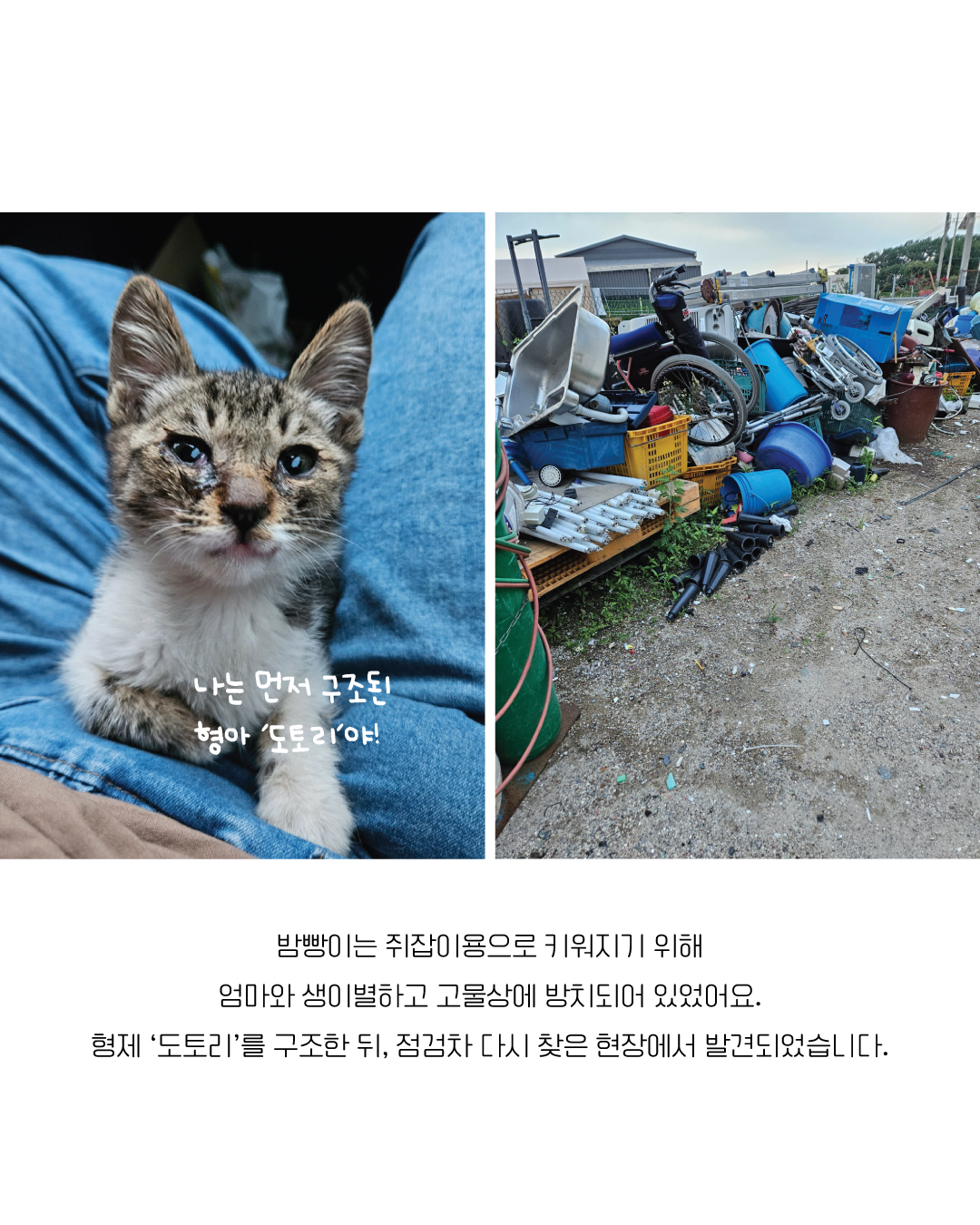 밤빵3.jpg