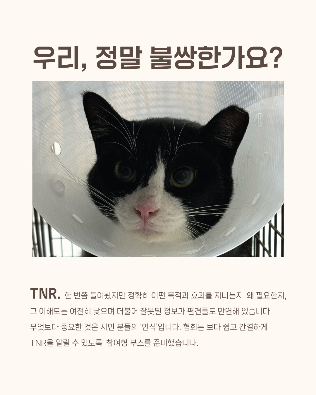 동물보호의날2.png