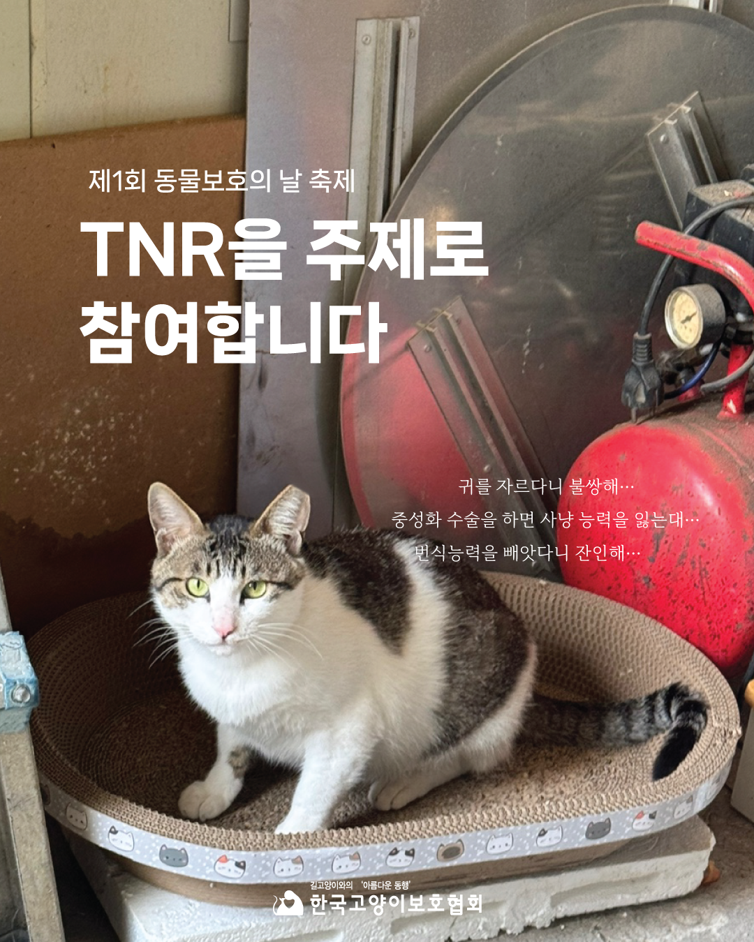 동물보호의날1.png
