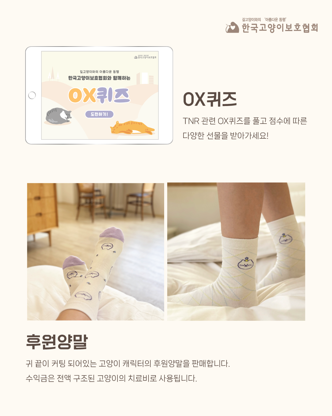 동물보호의날4.png
