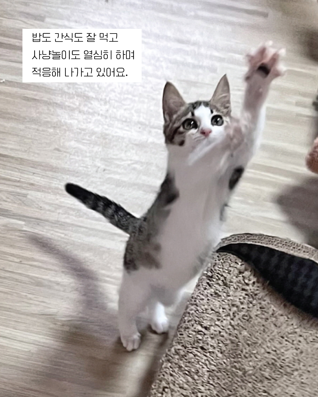 뽀뽀5.jpg