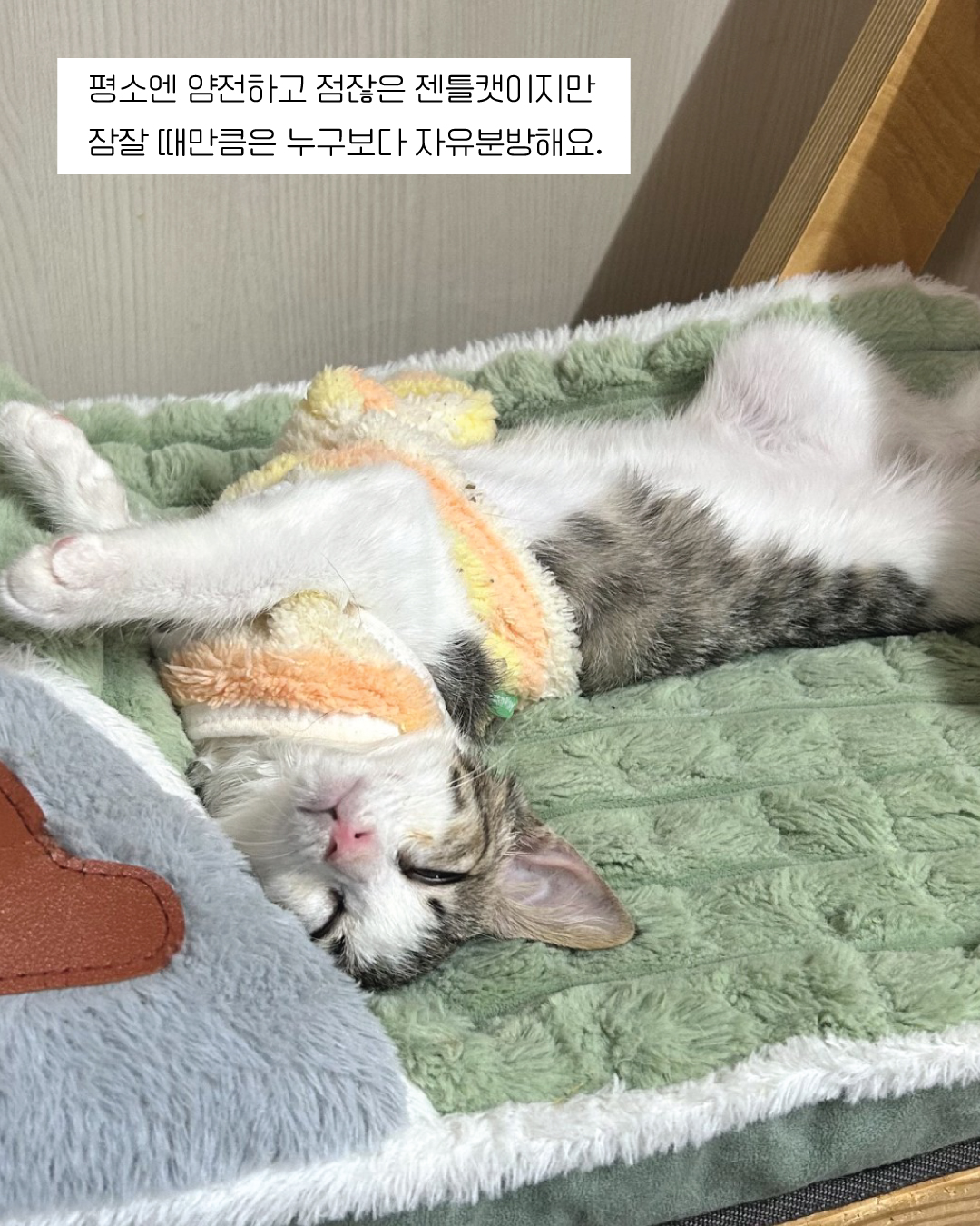 뽀뽀7.jpg