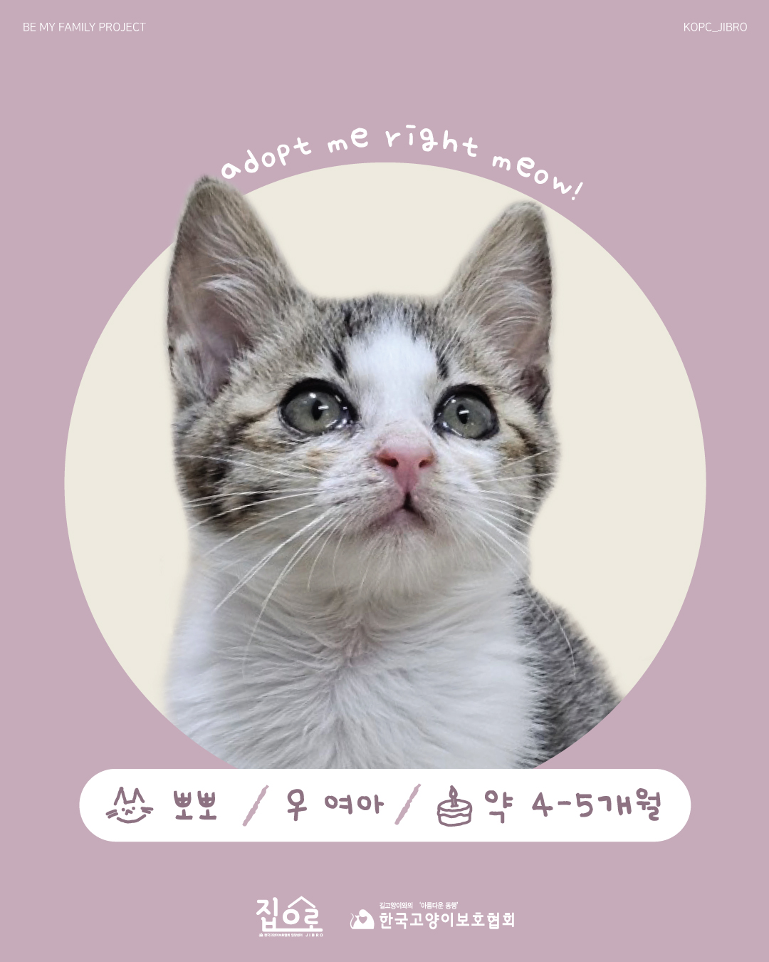 뽀뽀1.jpg