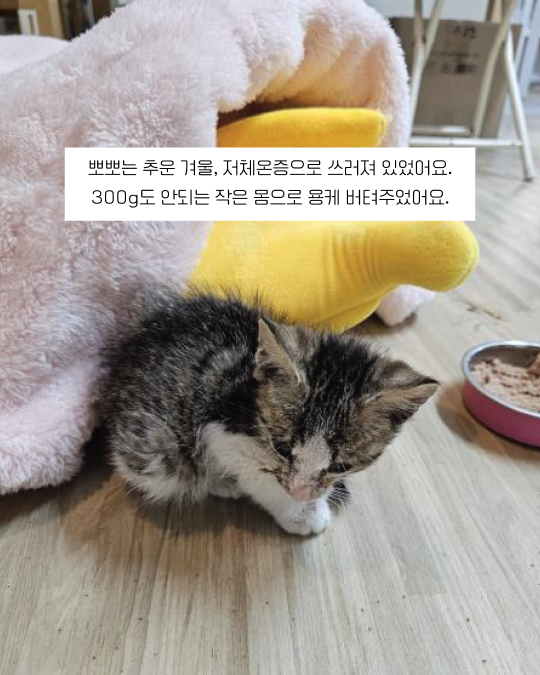 뽀뽀3.jpg