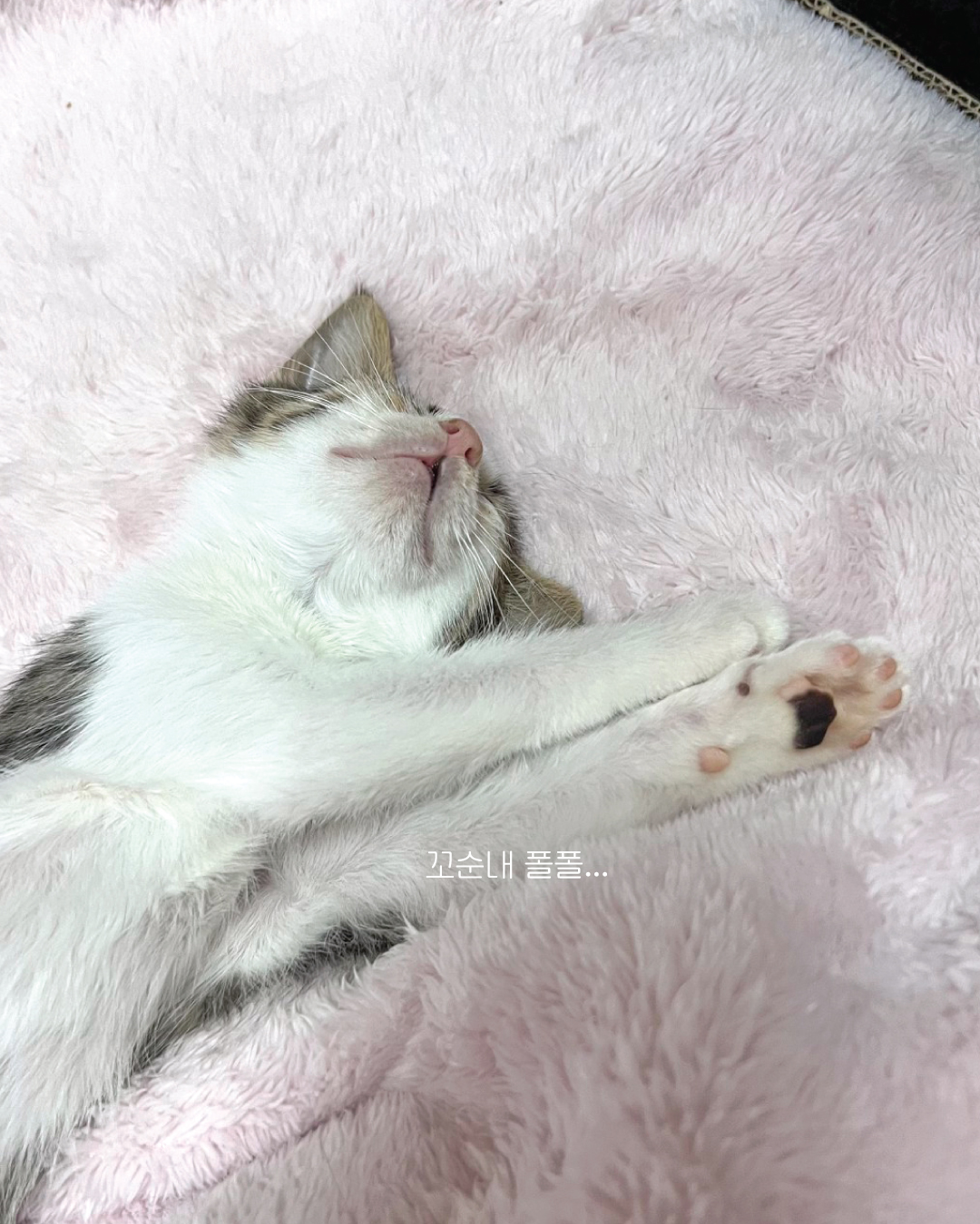 뽀뽀8.jpg