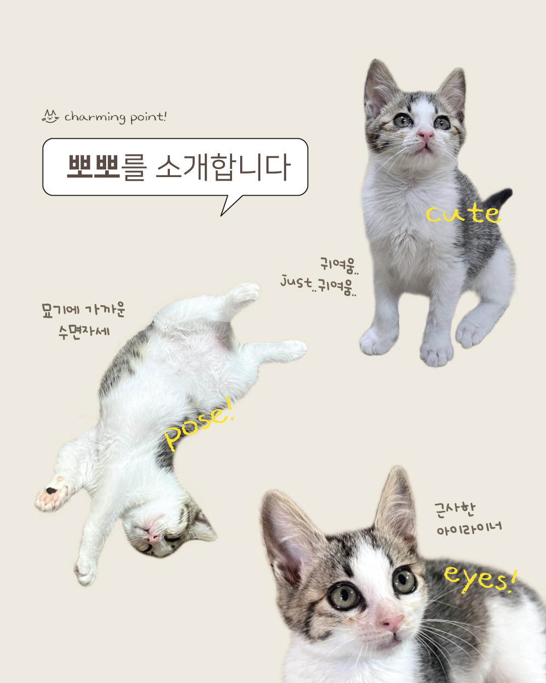 뽀뽀2.jpg