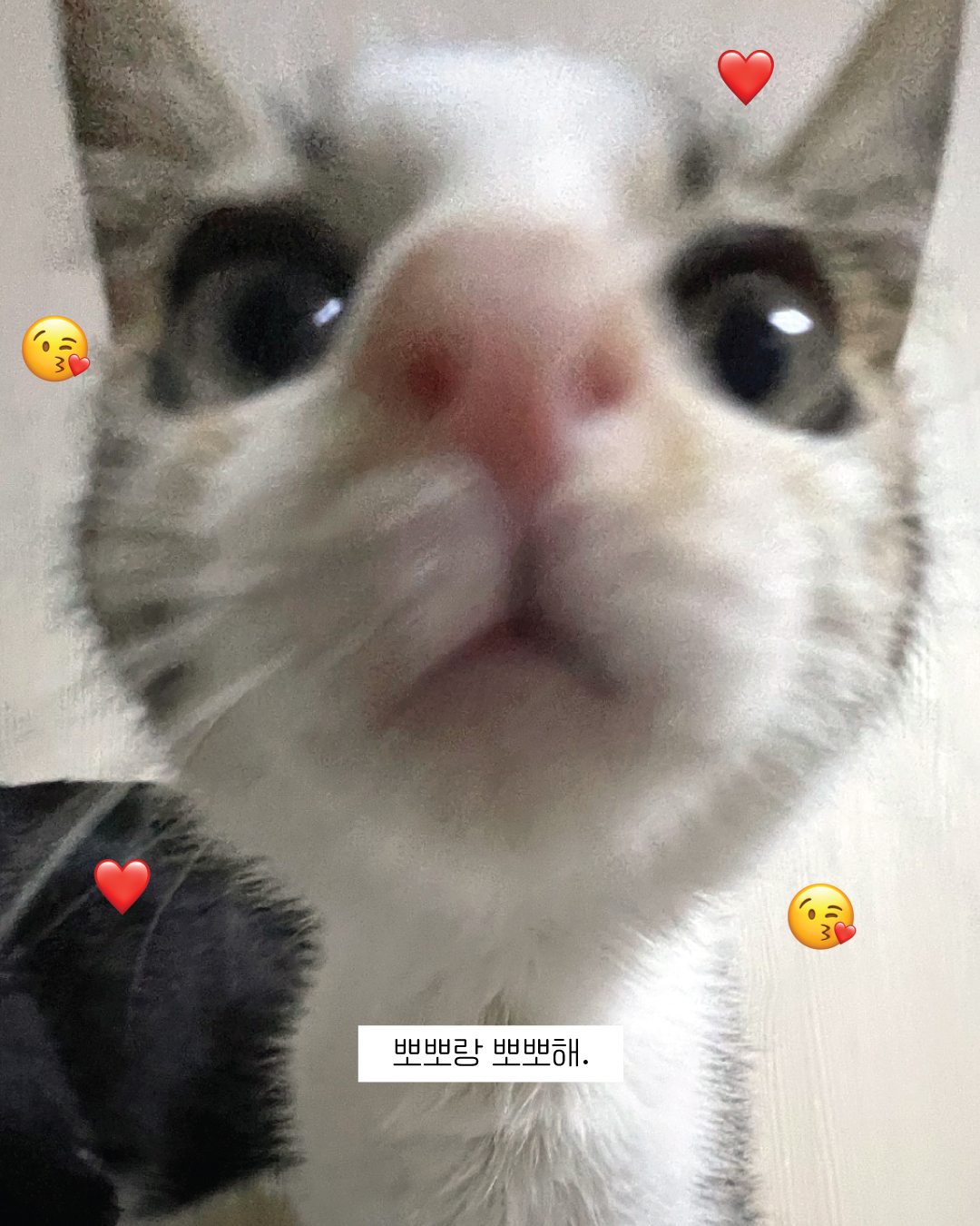 뽀뽀12.jpg