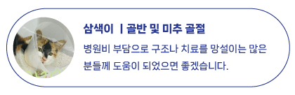 삼색이.jpg