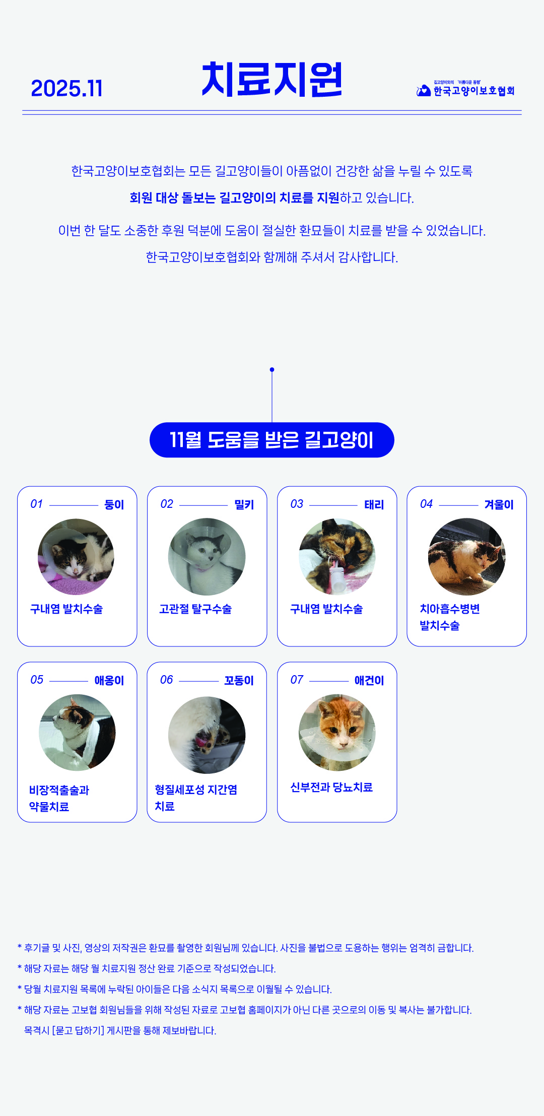 11월 치료지원-01.jpg