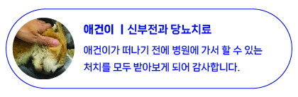 11월 치료지원-10.jpg