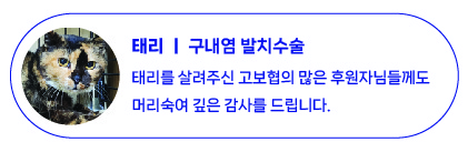 11월 치료지원-06.jpg