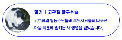 11월 치료지원-05.jpg