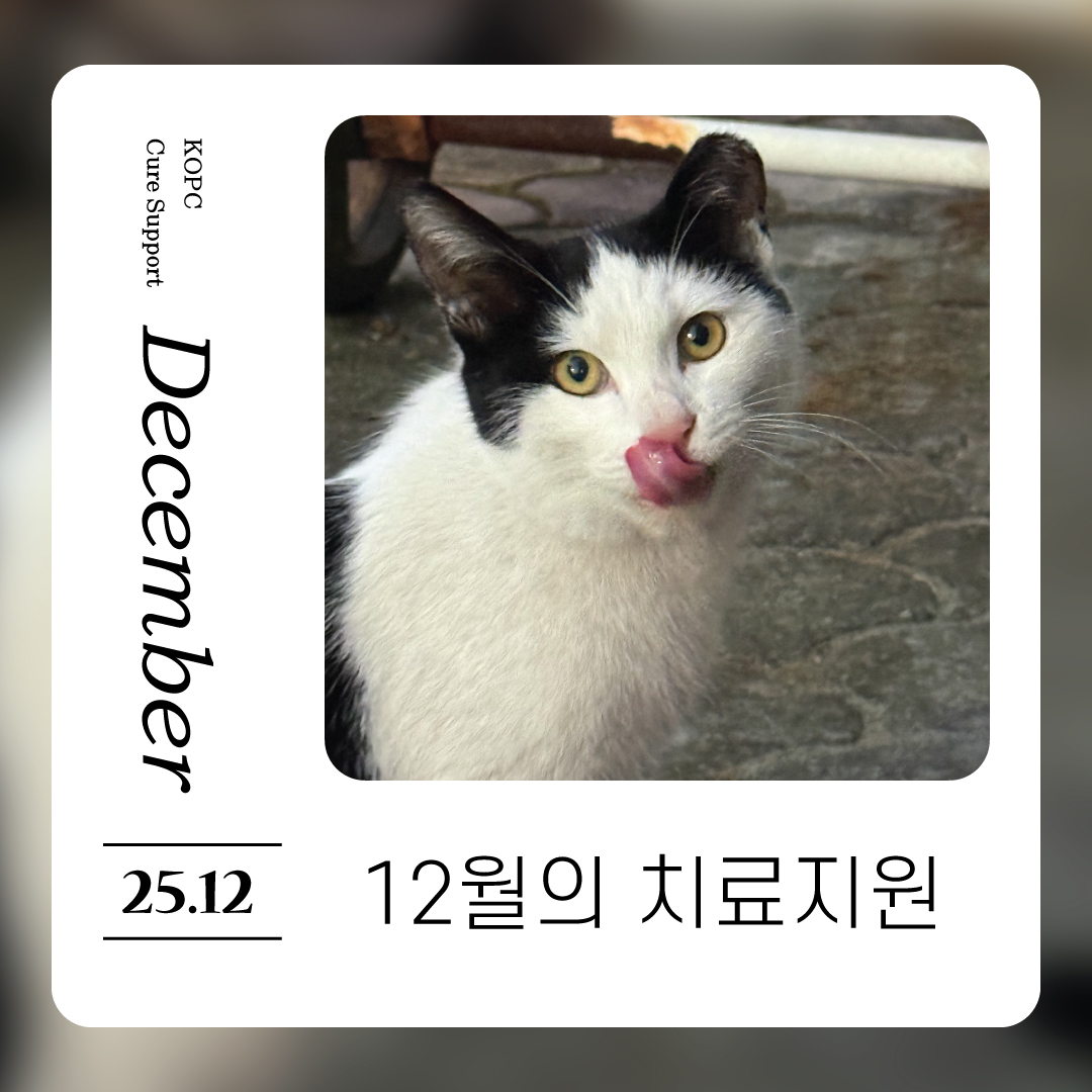 12월치료지원1.jpg