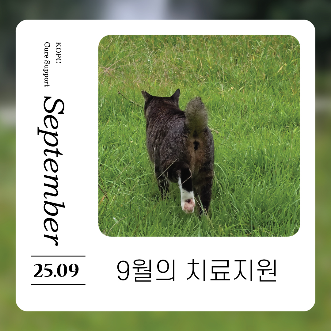 9월-치료지원1.jpg