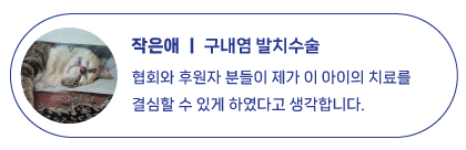 7월-치료지원6.jpg