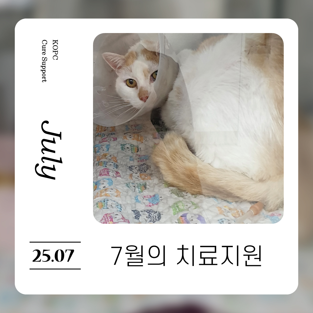 7월-치료지원1.jpg